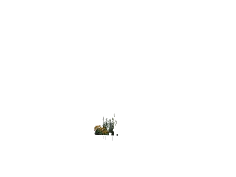 Freehold Townhome Landscape or Deck - Landscaping
